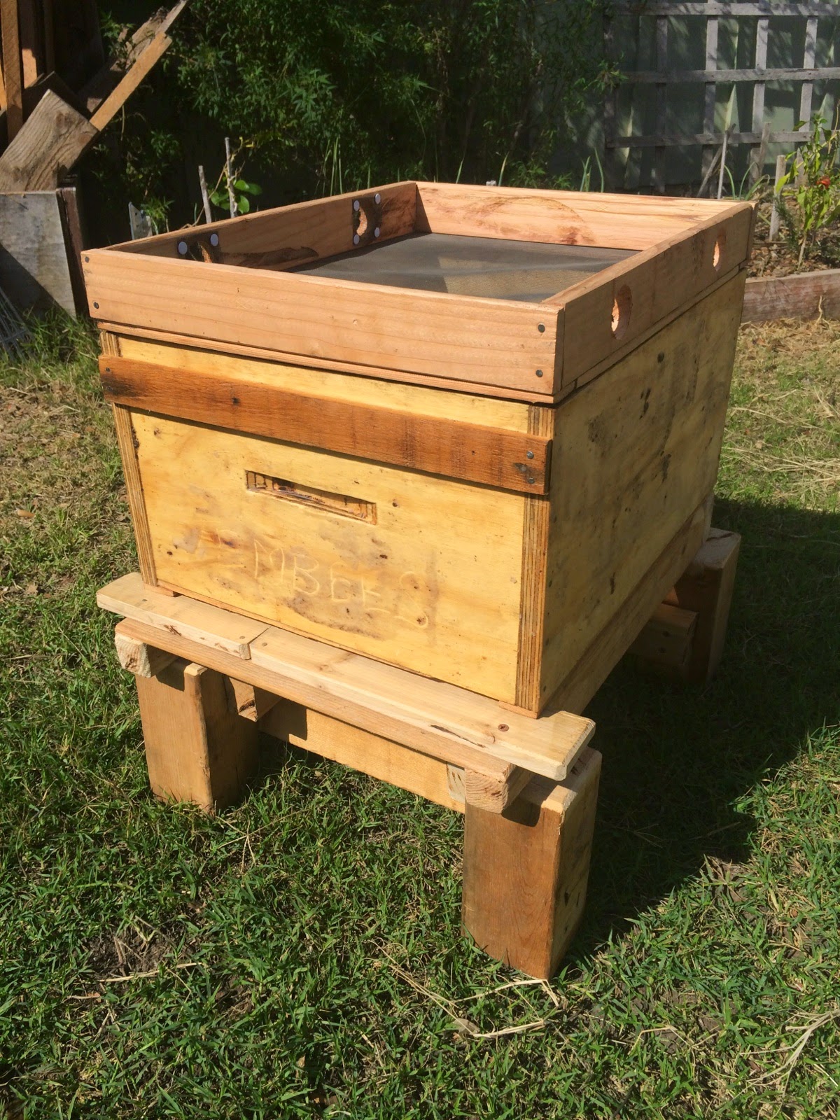 building-hives-by-hand-assembled-hive