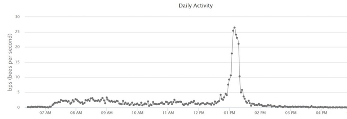 In a healthy hive we see an activity spike mid-afternoon as new field bees take their first 'orientation' flights.