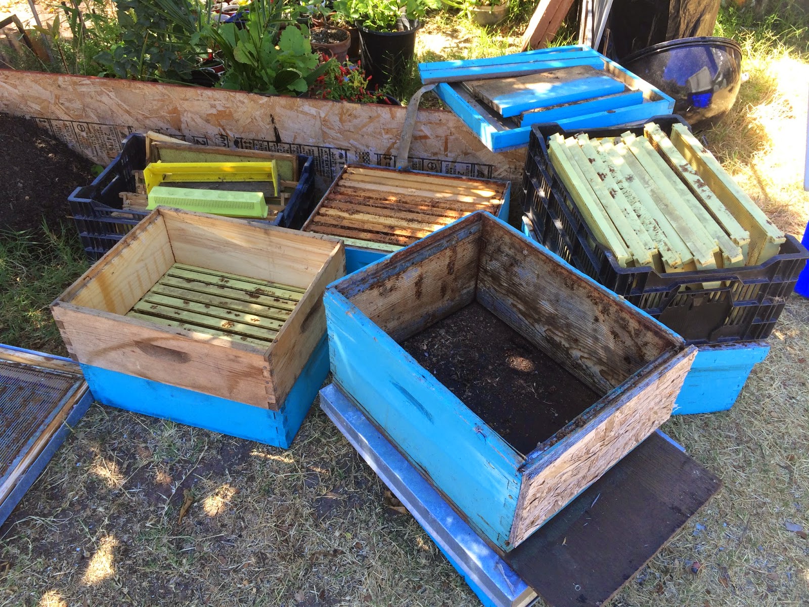 Bee Hives Prepared and Repaired