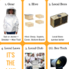 Getting started with Beekeeping