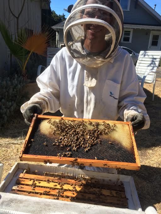 Bee Zen in the EyesOnHives apiary