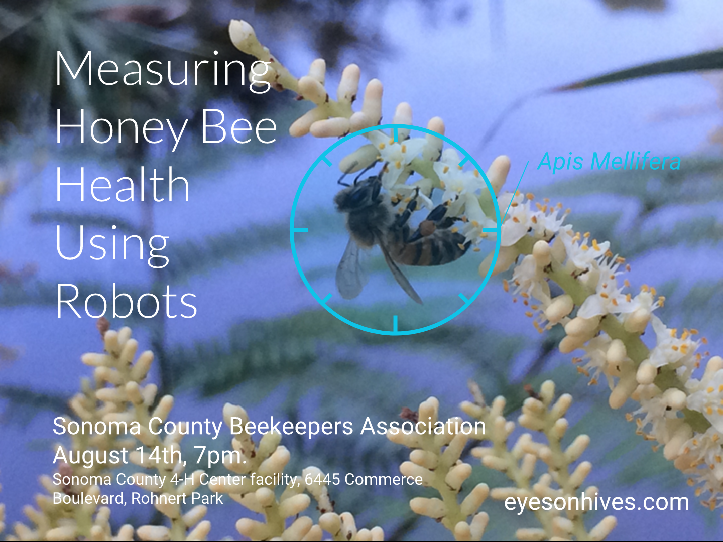 Join us for this exciting eyesonhives presentation with the Sonoma County Beekeepers Association